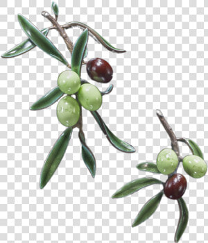 Joyas   Olive  HD Png Download