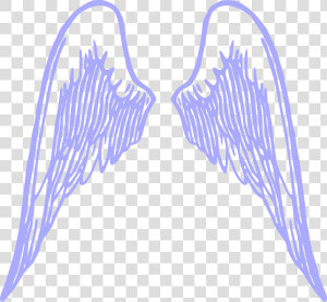 Transparent Spur Clipart   Bone Angel Wings Png  Png Download