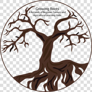 Growing Roots Logo   Illustration  HD Png Download