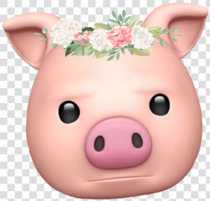  pig  emoji  emojisticker  iphonex   Domestic Pig  HD Png Download