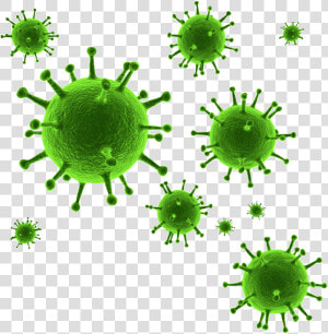 Virus Png   Transparent Virus Png  Png Download