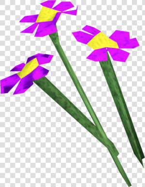 The Runescape Wiki   Runescape Flowers  HD Png Download