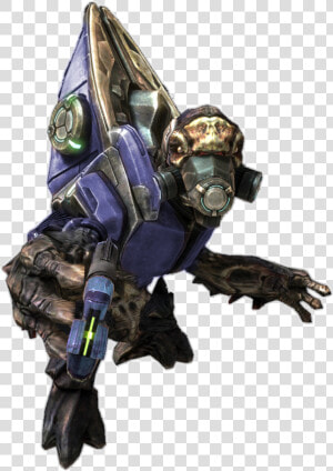 No Caption Provided   Halo Grunt Png  Transparent Png