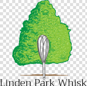 Linden Park Whisk   Illustration  HD Png Download