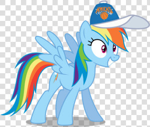 Rainbow Dash Wearing A New York Knicks Cap   Mlp Rainbow Dash Vector  HD Png Download