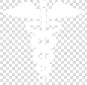 Caduceus   Woodlands Hospital Guyana Logo  HD Png Download