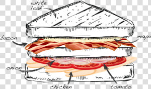 Blt Sandwich Drawing  HD Png Download