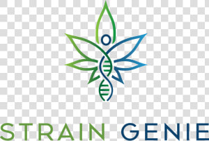 Strain Genie   Cannabis Dna  HD Png Download