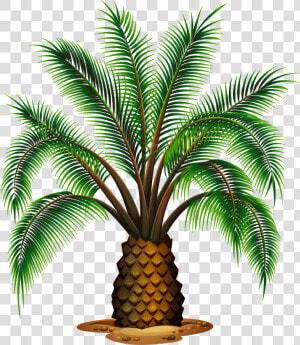 Small Palm Tree Transparent Picture   Palm Oil Tree Vector  HD Png Download