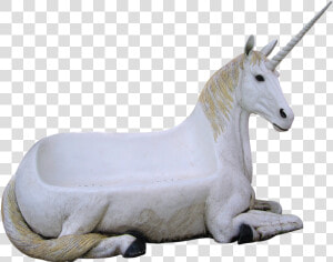 Image Cropped unicorn animal Magic seat Of Unicorn seat free  HD Png Download