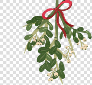 Mistletoe Cliparts Transparent   Christmas Flower Watercolor Png  Png Download