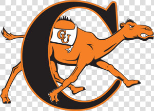 Campbell Fighting Camels  HD Png Download