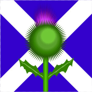 Scottish Thistle And Flag   Scotland Flag And Thistle  HD Png Download