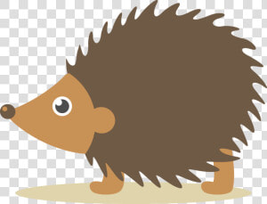 Hand drawn Forest Animals And Natural Animal 996 761   Cartoon Transparent Hedgehog  HD Png Download