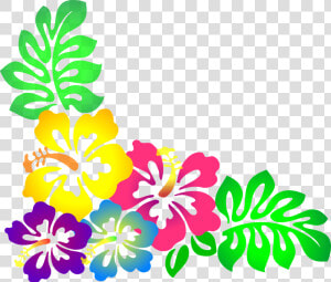 Luau Flower   Clipart Hawaiian Flowers  HD Png Download