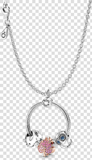 Pandora Owl Charm Necklace  HD Png Download