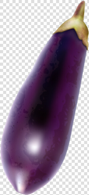 Aubergines Png Image Free Download Searchpng  Transparent Png