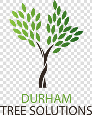 Durham Tree Solutions   Nae Grand Challenge Scholar  HD Png Download