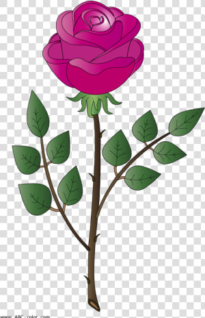 Transparent Marcos De Rosas Png   Rosa Bitmap  Png Download