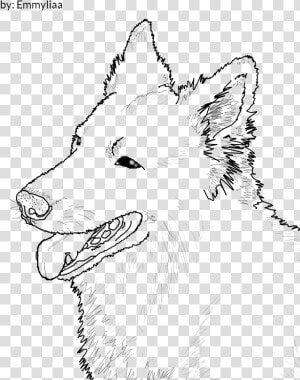 Trench Drawing Shepard   White Shepherd Dog Drawings  HD Png Download