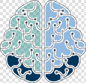 A Blue  Green And Dark Blue Brain Explaining The Wms   Illustration  HD Png Download