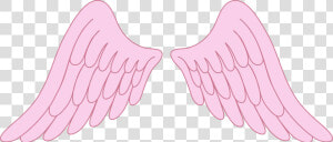 Transparent Angel Wings Vector Png   Baby Angel Wings Png  Png Download