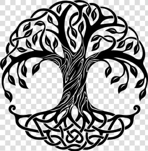 Black And White Stock Celtic Drawing Life   Transparent Tree Of Life  HD Png Download