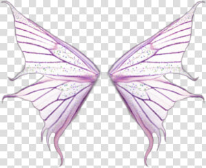  fairy  wings  forest  magic  fairywings   Wings  HD Png Download