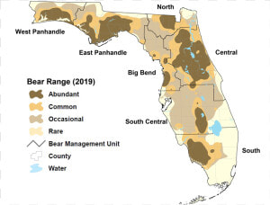 Image Via Florida Fish And Wildlife Conservation Commission   Florida Bear Map 2019 Bear  HD Png Download