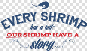 Every Shrimp Has A Tale   Calligraphy  HD Png Download