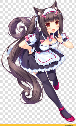 Chocola Nekopara  HD Png Download