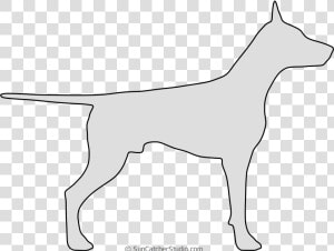 Doberman Vector Dog   Dobermann  HD Png Download