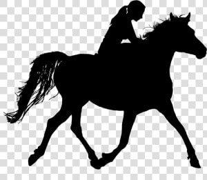 Horse  Riding  Silhouette  Ride  Stallion  Woman  Rider    Girl Riding Horse Silhouette  HD Png Download