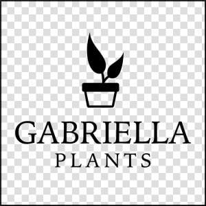 Gabriella Plants  HD Png Download