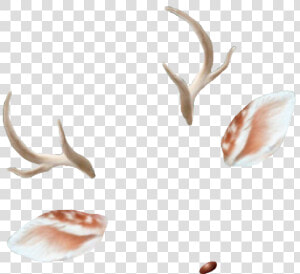 Deer Antlers Ears Doe Deerantlers Snapchat Filter Filte   Snapchat Filters Transparent Background  HD Png Download