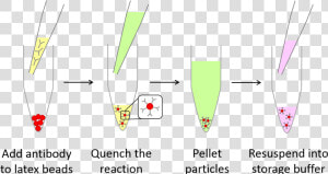 Latex Conjugation Kit Red   Antibody Conjugation To Latex  HD Png Download