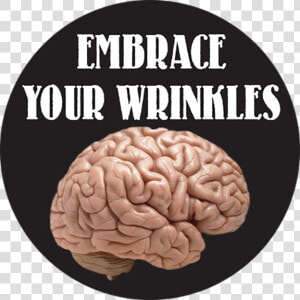 Embrace Your Wrinkles Button   Fuck You Brain Meme  HD Png Download