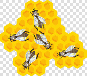 Honey  Cartoon  Hive  Wax  Bees  Combs  Bee  Comb   Beeswax Clipart  HD Png Download