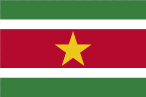 Sr Suriname Flag Icon   Flag Suriname  HD Png Download