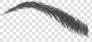  cejas   eyebrow  mystikers   Close up  HD Png Download