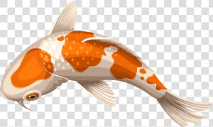 Transparent Fishes Png   Koi Fish Transparent Background  Png Download