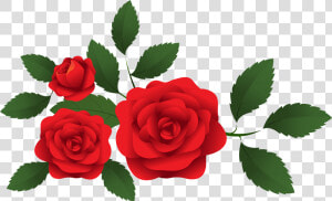 Red Roses Decoration Png   Red Roses Clip Art  Transparent Png