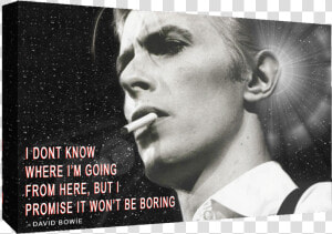 David Bowie Quote   David Bowie  HD Png Download