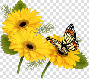 Yellow Gerberas With Butterfly Png Clipart   Butterfly On Flowers Png  Transparent Png