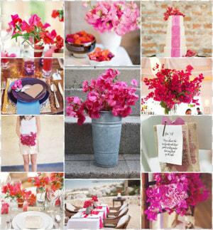 Bougainvillea Flower Weddings  HD Png Download