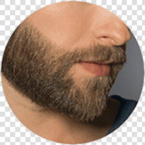 Short Beard Contour   Png Download   Beard Styling Png  Transparent Png