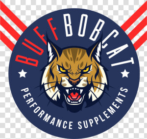 Buff Bobcat Cartoon  HD Png Download