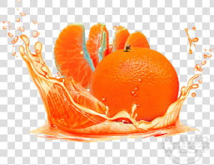 Bitter Orange  HD Png Download