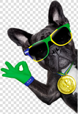 Sunglasses Bulldog Photography Dog French Royalty free   Brazil Soccer Dog  HD Png Download