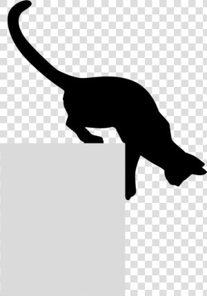 Black Cat Kitten Silhouette Felidae   Cat Silhouette Looking Down  HD Png Download